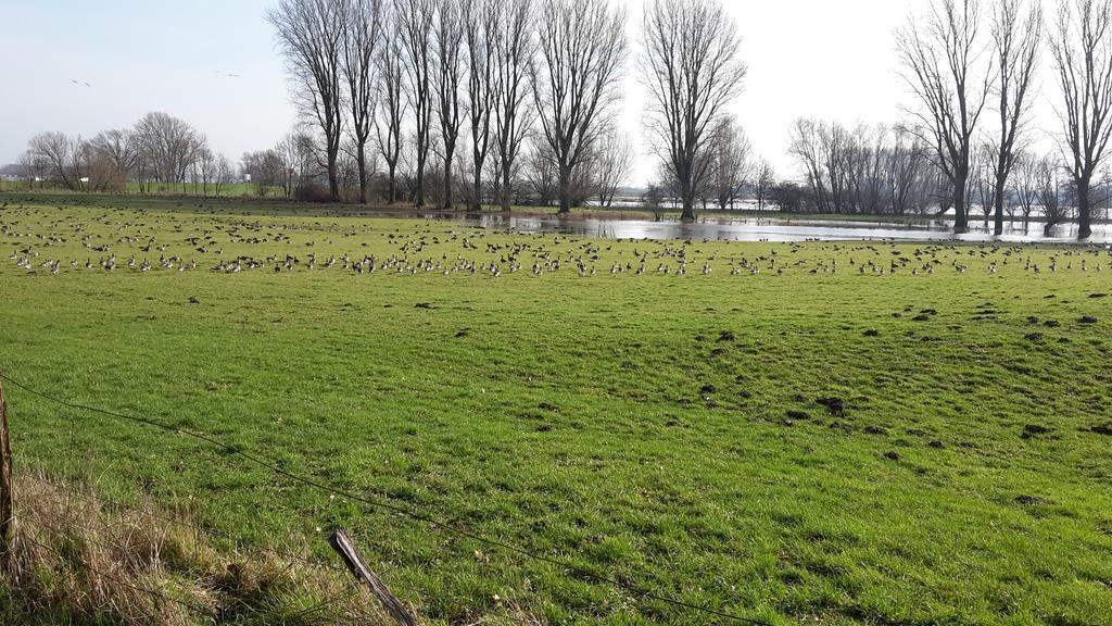 Ferienwohnung Eulenturm Xanten Exteriér fotografie